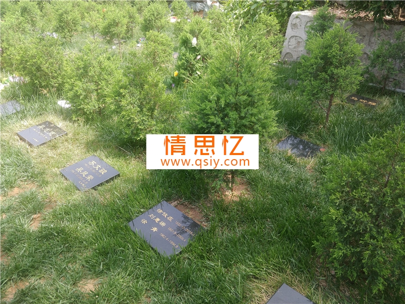 紫东园树葬